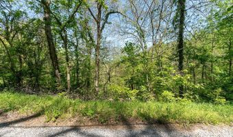 Austin Bottom Rd lot 94, Baxter, TN 38544