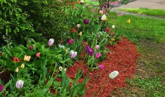 104 Lakewood Pkwy, Burlington, VT 05408