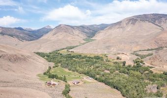 9885 Challis Creek Rd, Challis, ID 83226