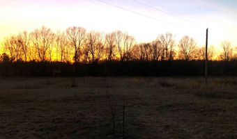 1071 LR 3, Ashdown, AR 71822