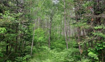9 Private Road WI-139, Argonne, WI 54511