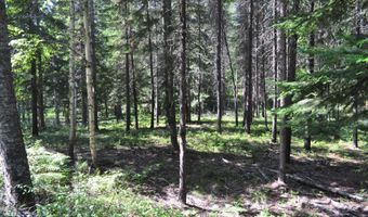 Nna 196 Acres Hwy 95, Bonners Ferry, ID 83805