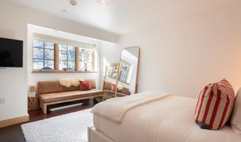 6770 Castle Creek Rd, Aspen, CO 81611