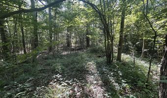 Stump Ridge Road, Brandon, MS 39047