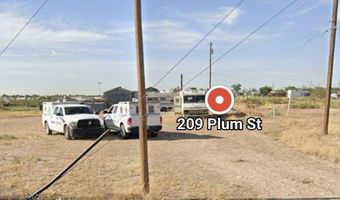 209 Plum St, Carlsbad, NM 88220