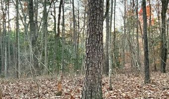 0 Pebble Creek Ln, Alto, GA 30510