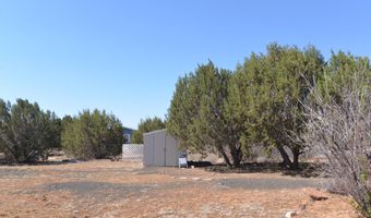 23 County Road 8206, Concho, AZ 85924