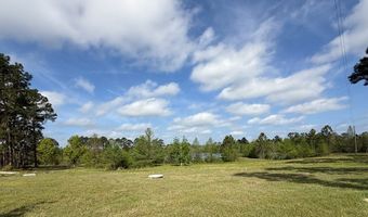1034 Ga Hwy 30, Alamo, GA 30410