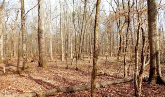 519 247 Country Rd, Bruce, MS 38915