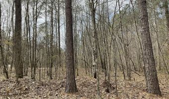 592 Hubberd Town Rd, Beech Bluff, TN 38313
