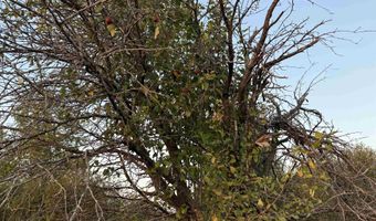 Lot 3 EAU CLAIRE RIVER ROAD, Aniwa, WI 54408