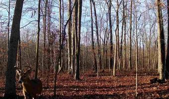 27 Mile Rd, Albion, MI 49224