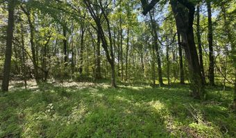 0001 Old Highway 471, Brandon, MS 39042