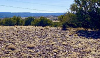 Tbd Co Rd 5062 Lot 1 3.53 Acres, Concho, AZ 85924