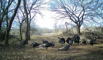 1299 E US HWY 160, Argonia, KS 67004
