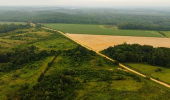 1037 Cr 300, Big Creek, MS 38914