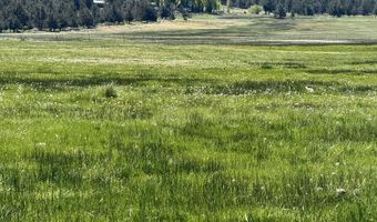 12661 E Langell Valley Rd, Bonanza, OR 97623