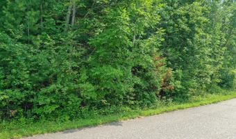 16180 THELEN Rd, Mountain, WI 54149