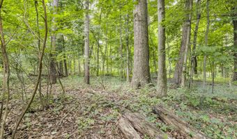 15775 Elm Row Rd, Albion, MI 49224