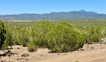 Stagecoach Dr 47 Acres, Ash Fork, AZ 86320