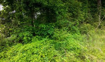 Mat Morrow Road, Arab, AL 35016