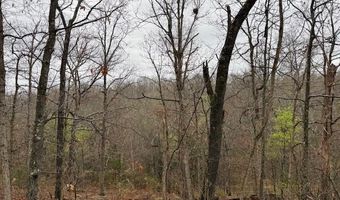 Lot 42 Lookout DR, Bella Vista, AR 72714