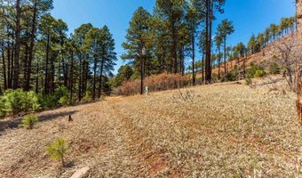 116 Pine Dr, Bayfield, CO 81122