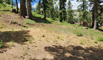 350 Snowshoe Rd, Bear Valley, CA 95223