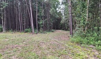 TBD Oglethorpe Dr, Andrews, SC 29510