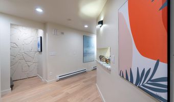 506 W Hallam St, Aspen, CO 81611