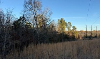 9 21 Acres Lee St And Elberton St, Calhoun Falls, SC 29628