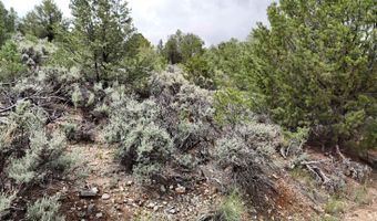 Unk Sandia Canyon Rd, Arroyo Hondo, NM 87513