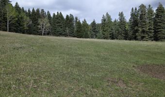 15098 CR 240, Bayfield, CO 81122