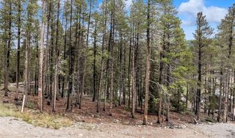 158 N ASPEN St, Alma, CO 80420