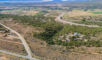 Lot 6 Nieman Road, Arroyo Hondo, NM 87513