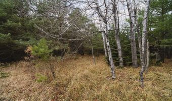 14061 Erdman Rd, Arcadia, MI 49613