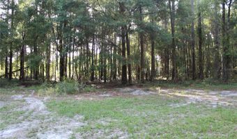 15821 SW 50TH Ave, Archer, FL 32618