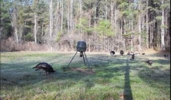 SE Union Road, Brookhaven, MS 39601