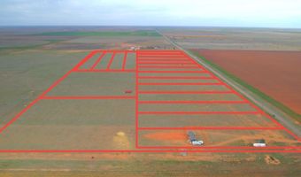 54 Farms, Abernathy, TX 79311