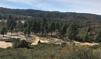 1 Butterfly Peak Rd, Mountain Center, CA 92561