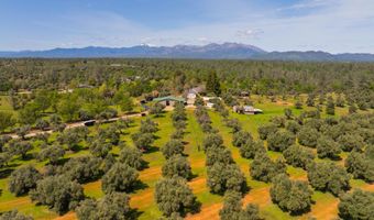 16770 Scout Ave, Anderson, CA 96007