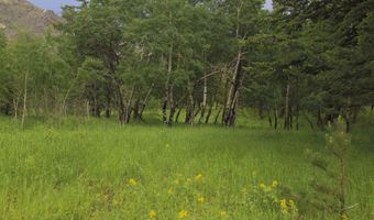 TBD Old Flowers Road, Bellvue, CO 80512