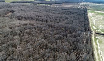 6075 Curtis Rd, Batesville, MS 38606