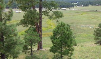 Lot 25a The Ranch At Alpine, Alpine, AZ 85920