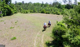 County Road 231, Abbeville, AL 36310