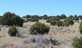 80 County Road 8620, Concho, AZ 85924