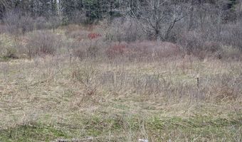 295 Shellstone Rd, Amsterdam, NY 12010