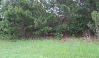 Lot 9 Carolina Crossroads, Roanoke Rapids, NC 27870