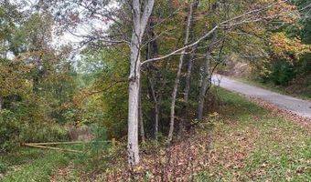 Bandy Rd / Whitaker Ridge Area, Bandy, VA 24602
