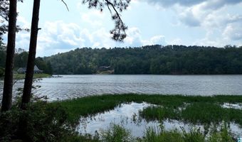 0 GIBSON COVE Dr 3 Acres, Ashville, AL 35953
